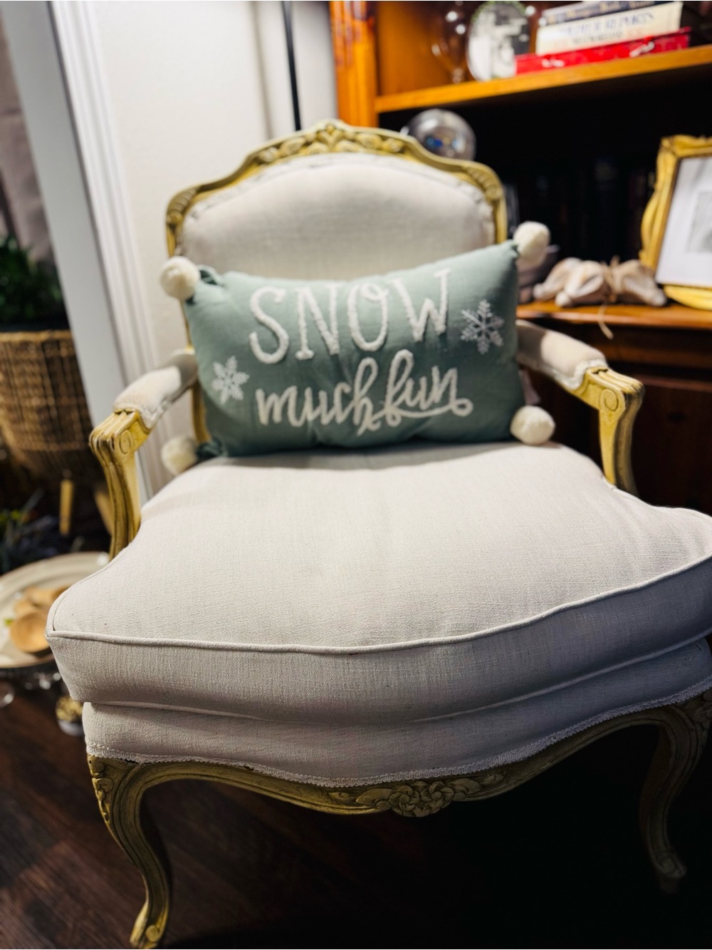 Set of two Holiday 'Snow Much Fun' Accent Pillow in Green